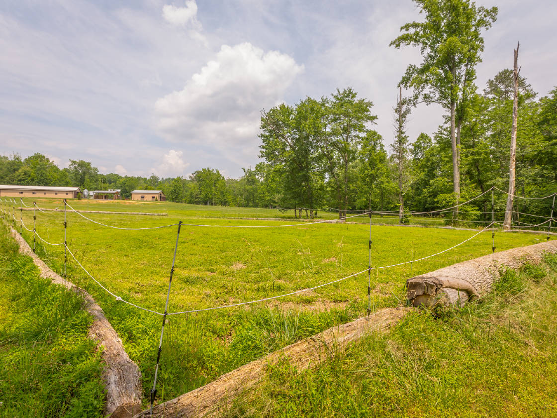 Spectacular Tennessee Horse Farm Hamilton County