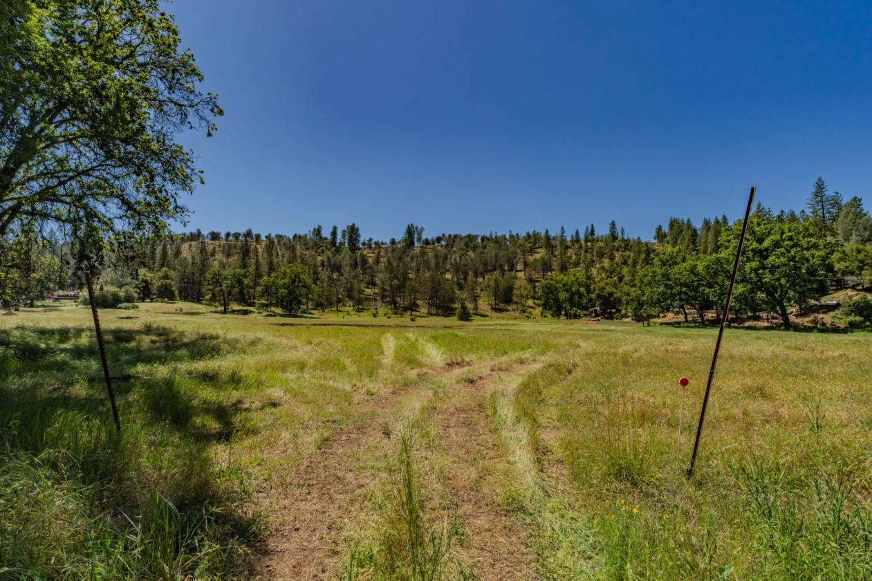 40 Acres - Fully ADA/Wheelchair Accessible - photo 5