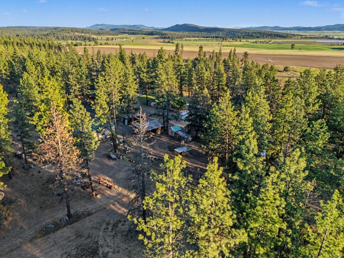 Stunning Log Home on 38.7 ac w/ barn & round pen - photo 22