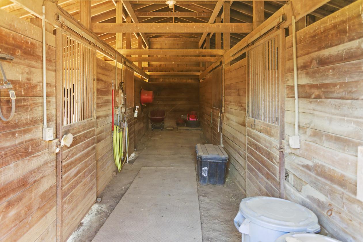 17+ PICTURESQUE ACRES WITH 2 BARNS & HOUSE - photo 12