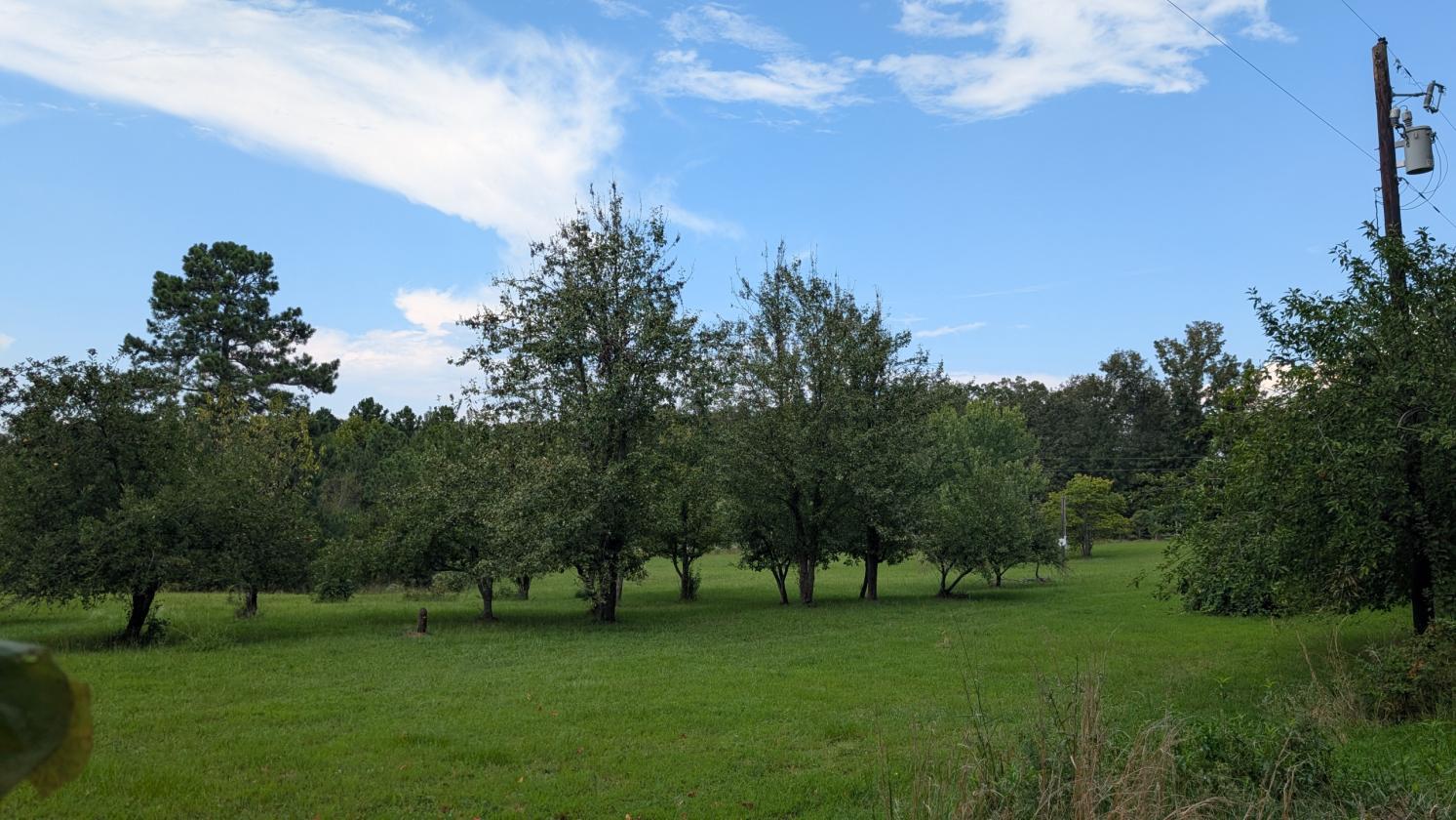 Homesteader's Paradise - photo 26