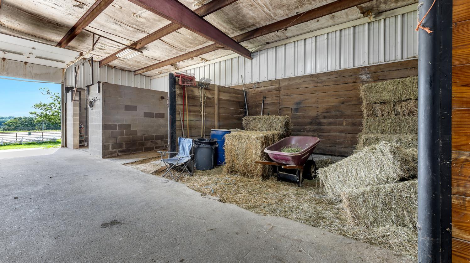 The Ultimate Equestrian Business Opportunity - photo 9