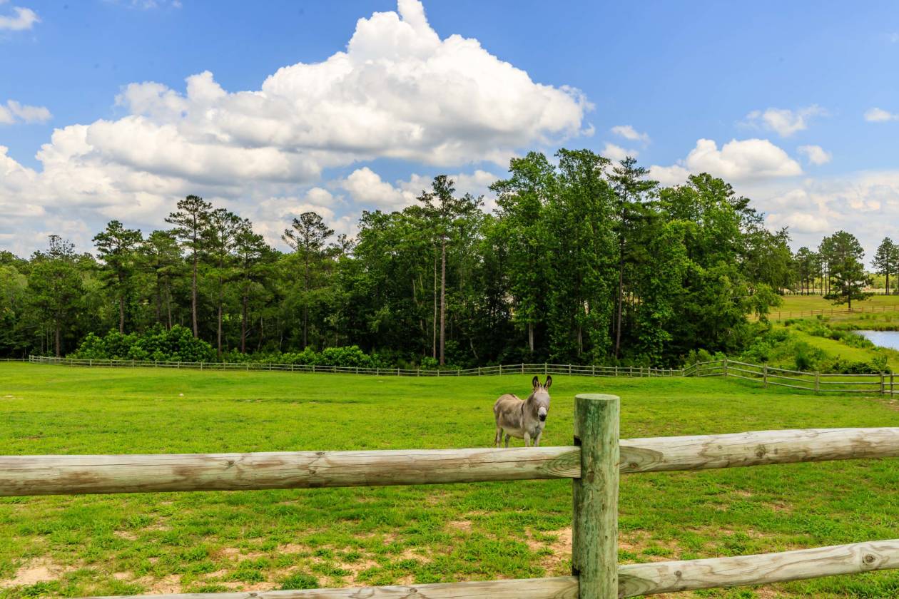 Impeccably Maintained Horse Farm in Pine Ridge Vass, Moore County