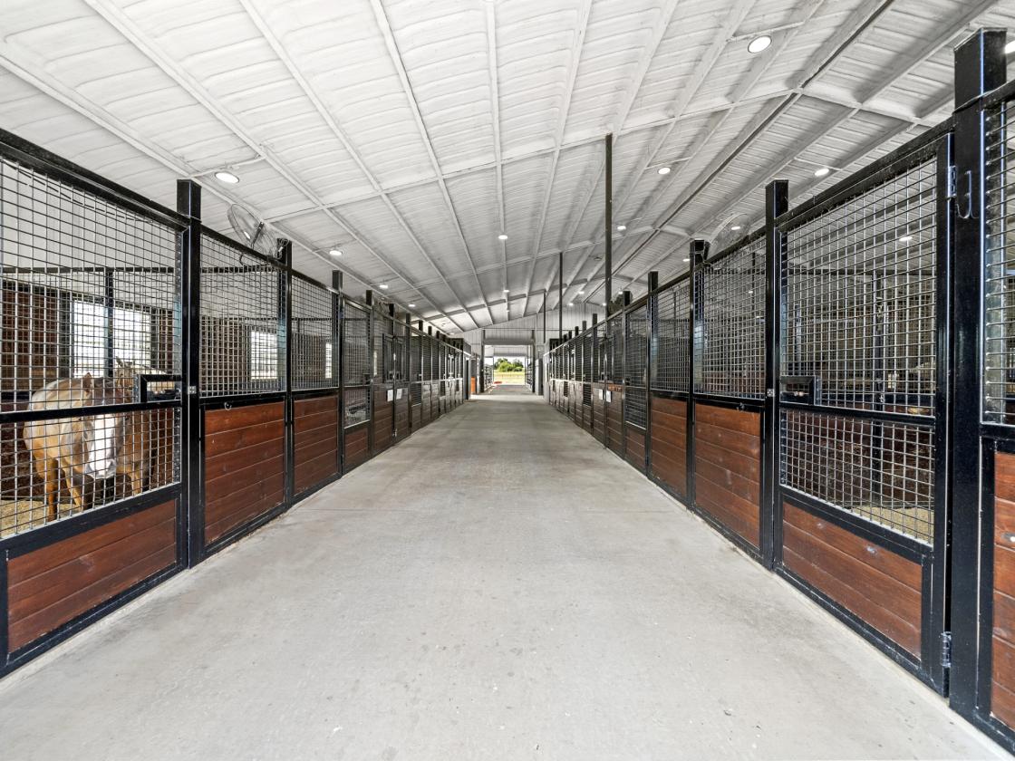 SALE PENDING - 55 ACRE HORSE RANCH IN CROSS ROADS - photo 8