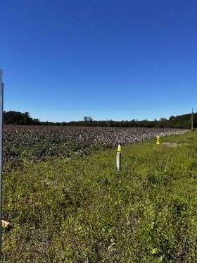 Property image.