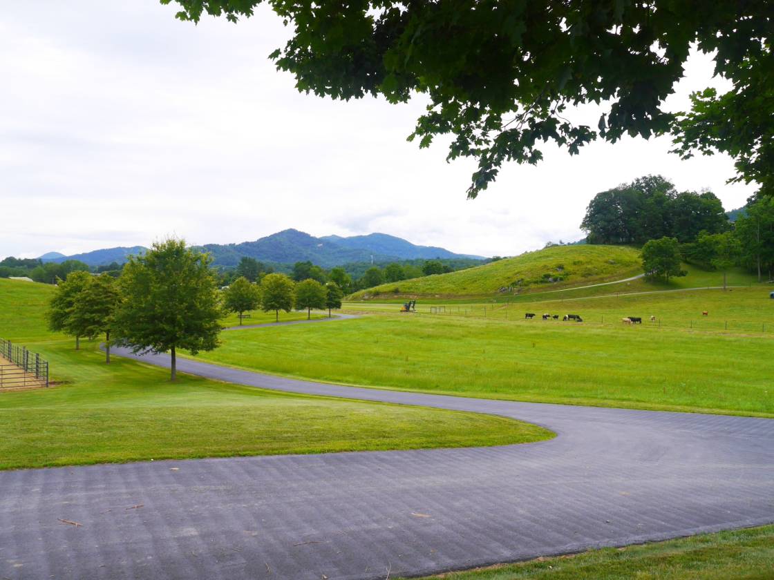 Exquisitely maintained 43+ acre farm used for champion Quarter horse