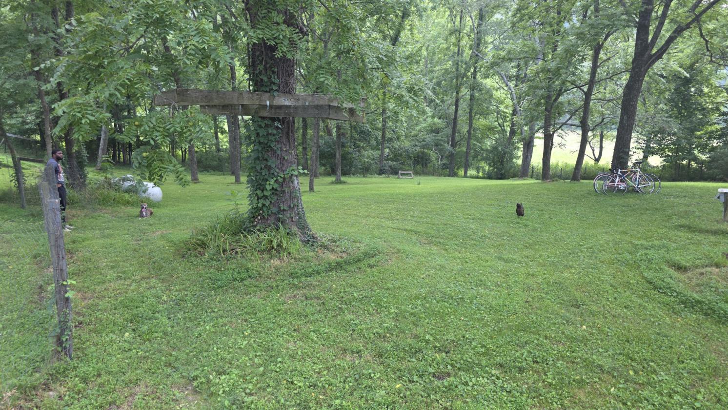 Hobby Farm in Southern Indiana! - photo 10