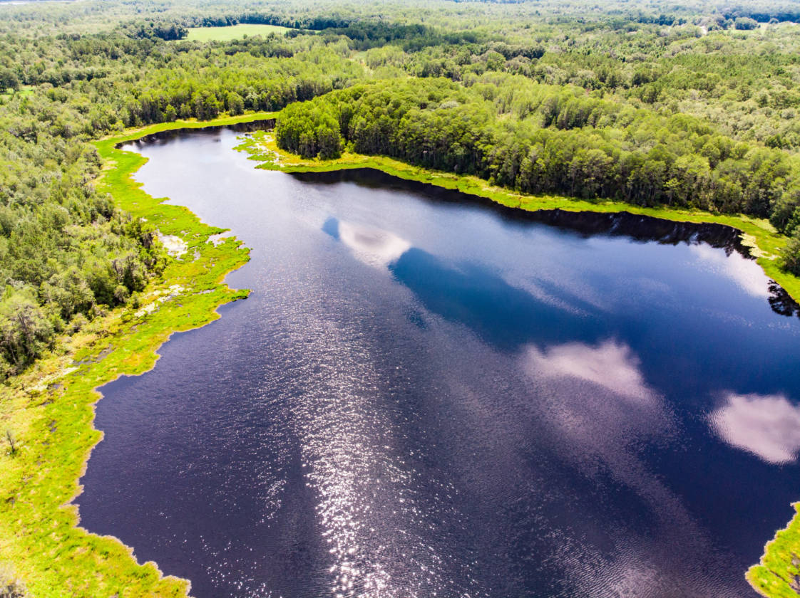 Rooks Ranch 2,193 Acres +\ Operating Cattle Ranch, Row Crop