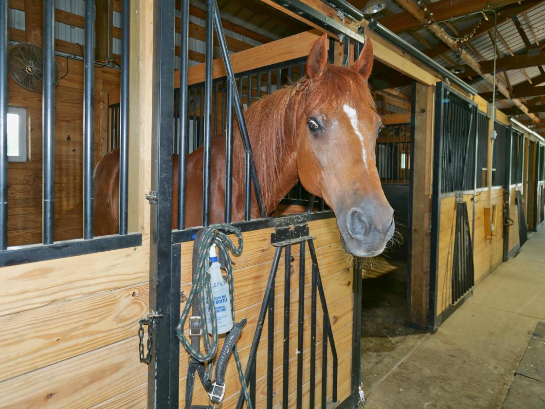 EQUESTRIAN ESTATE/HISTORIC HOME/OWNER FINANCING - photo 21