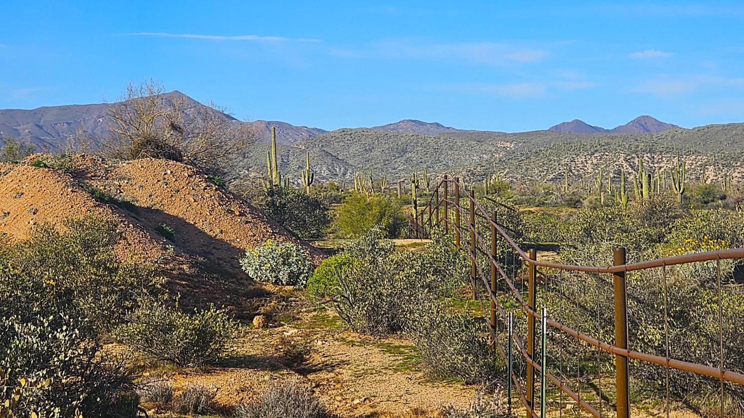 ACREAGE- NATIONAL FOREST FRONTAGE, PRIVATE WELL - photo 19