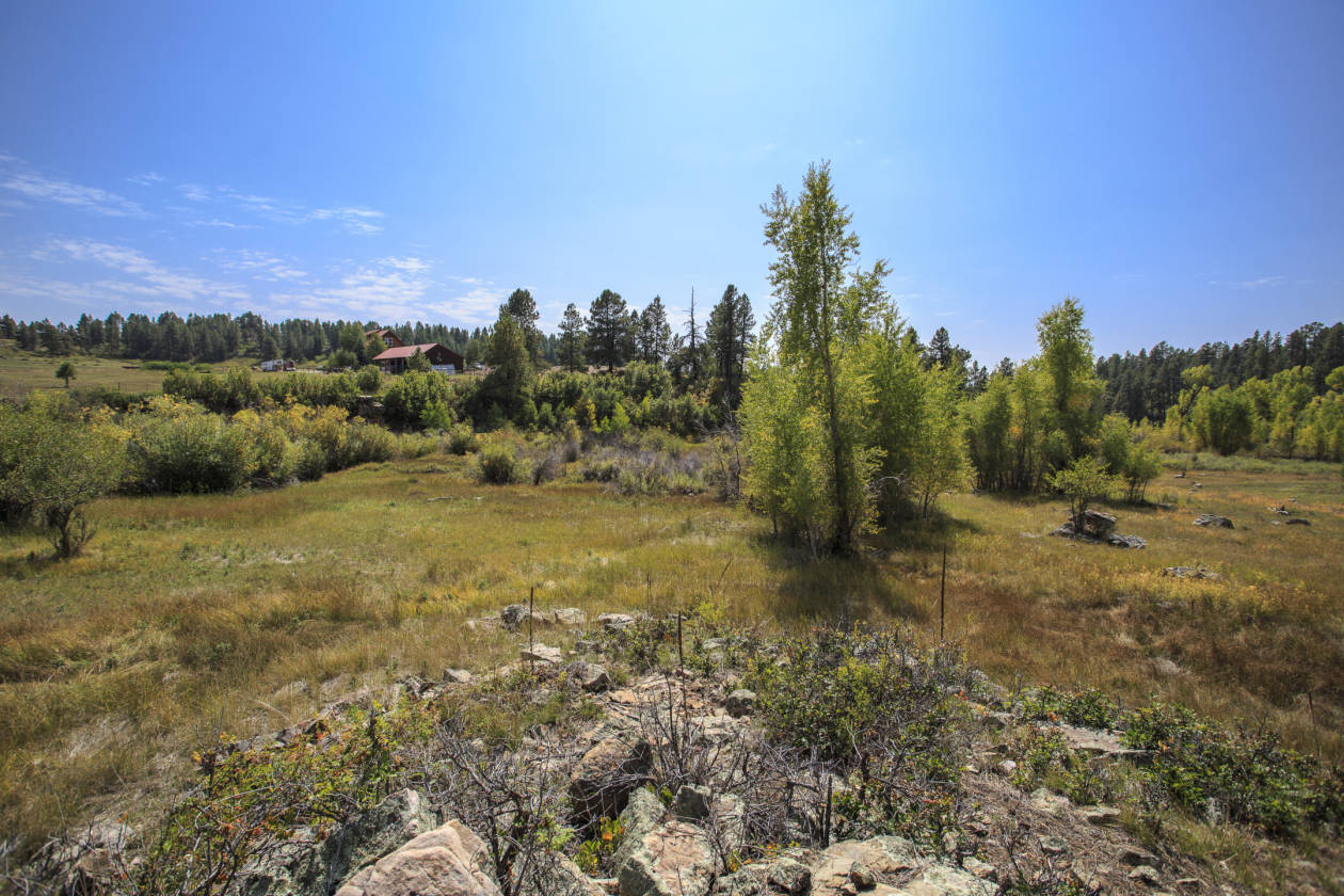 Pagosa Springs Horse owners dream! Pagosa Springs, Archuleta County