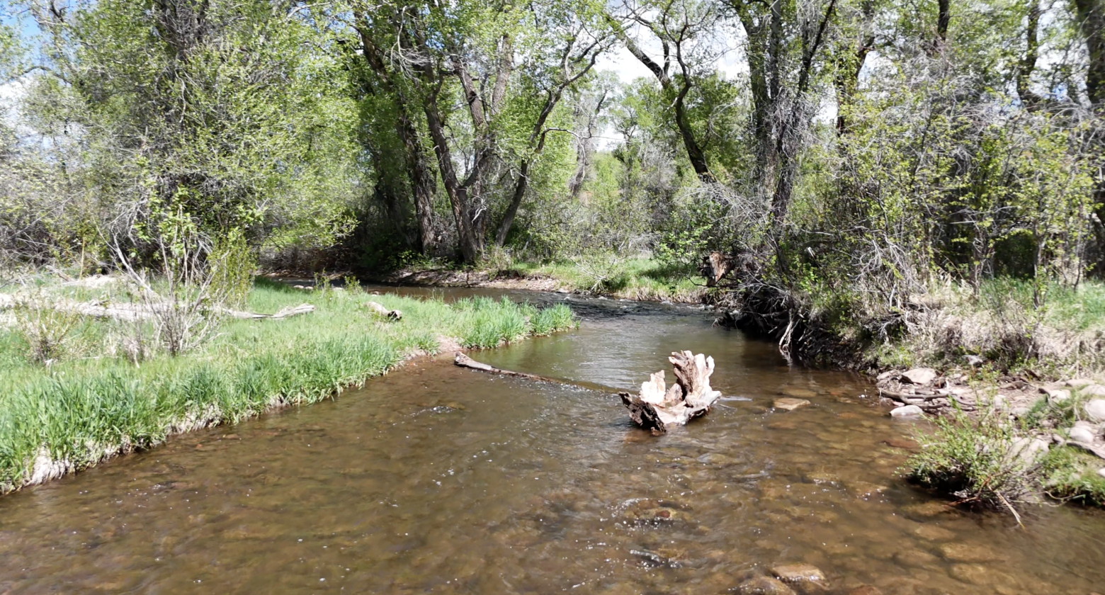 Brush Creek Stables Ranch - photo 6