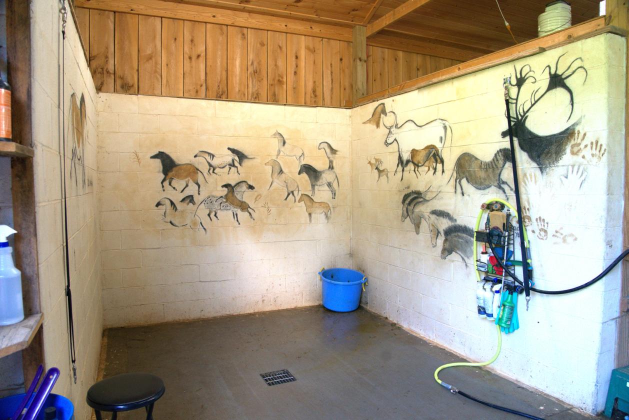 Boutique Farm in the Heart of the Bluegrass - photo 10