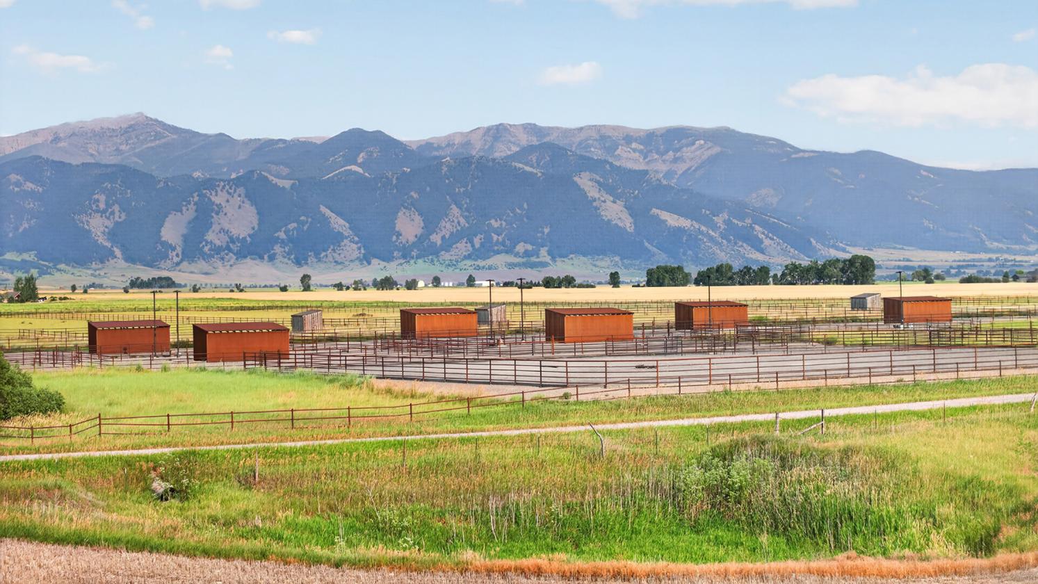 Bandolero Ranch - photo 23
