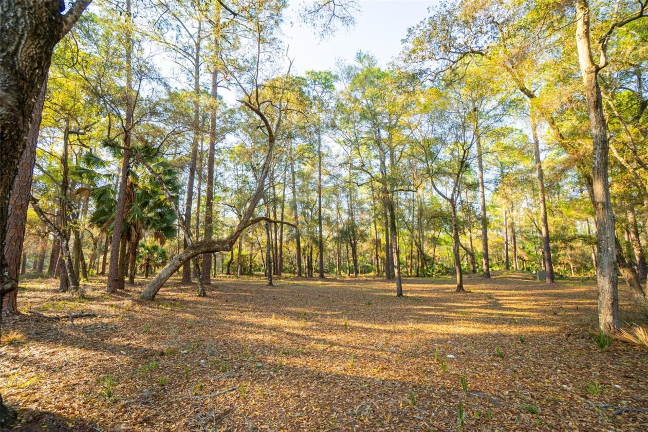 10 Acre Lakefront Estate w. 400k acre Trail Access - photo 13