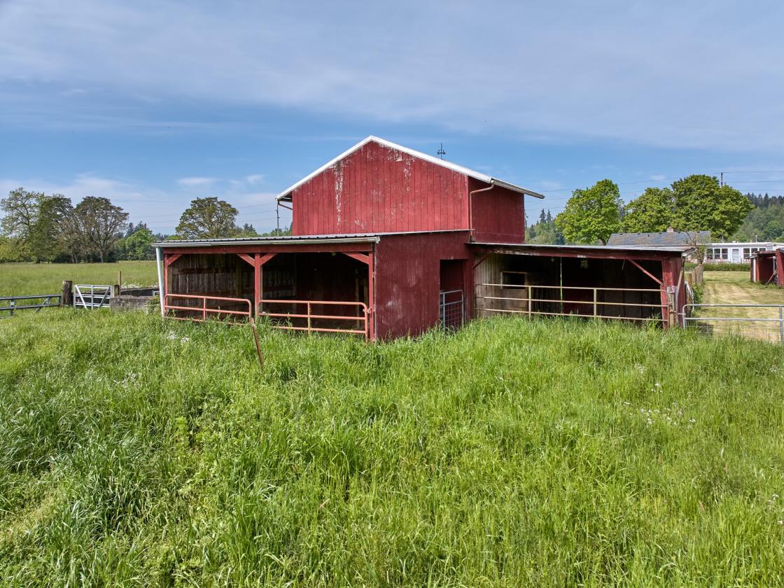 Horse Property in Aurora/Canby Area Deadend Road - photo 4