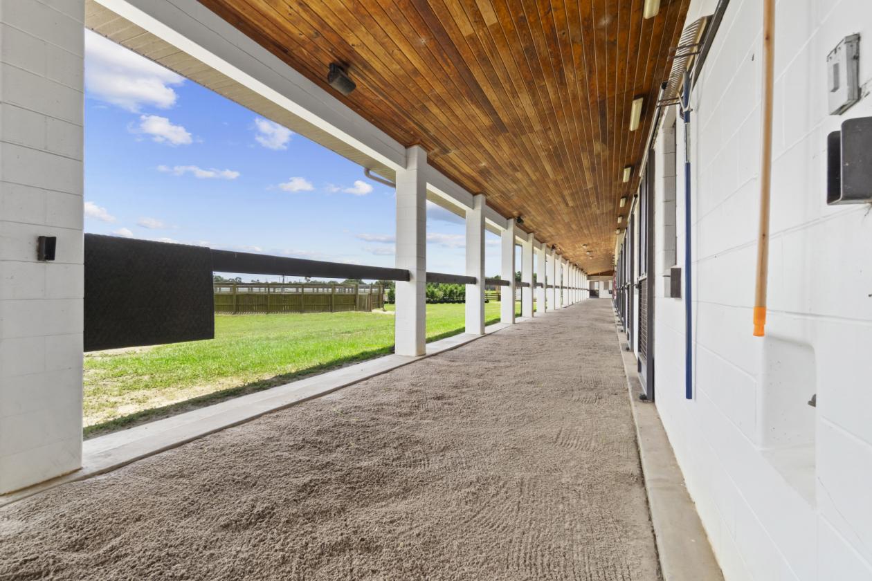 BELLEMONT FARM
YOUR PREMIER TRAINING CENTER - photo 20