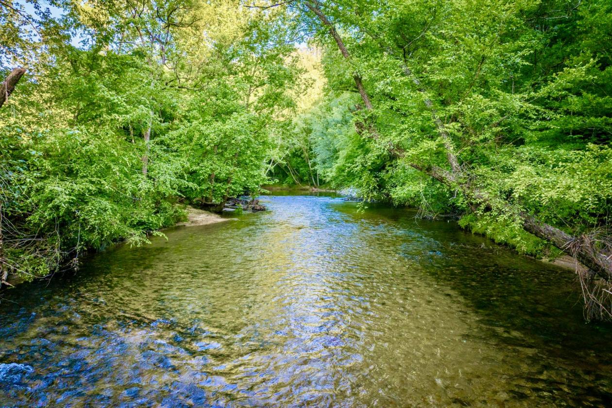 Riverfront- 12 ac at The Coves Mtn RIver Club - photo 24