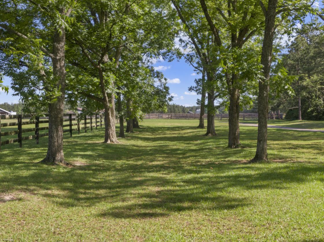 Fenced Pastures, Pond & Privacy on 21 Acres - photo 14