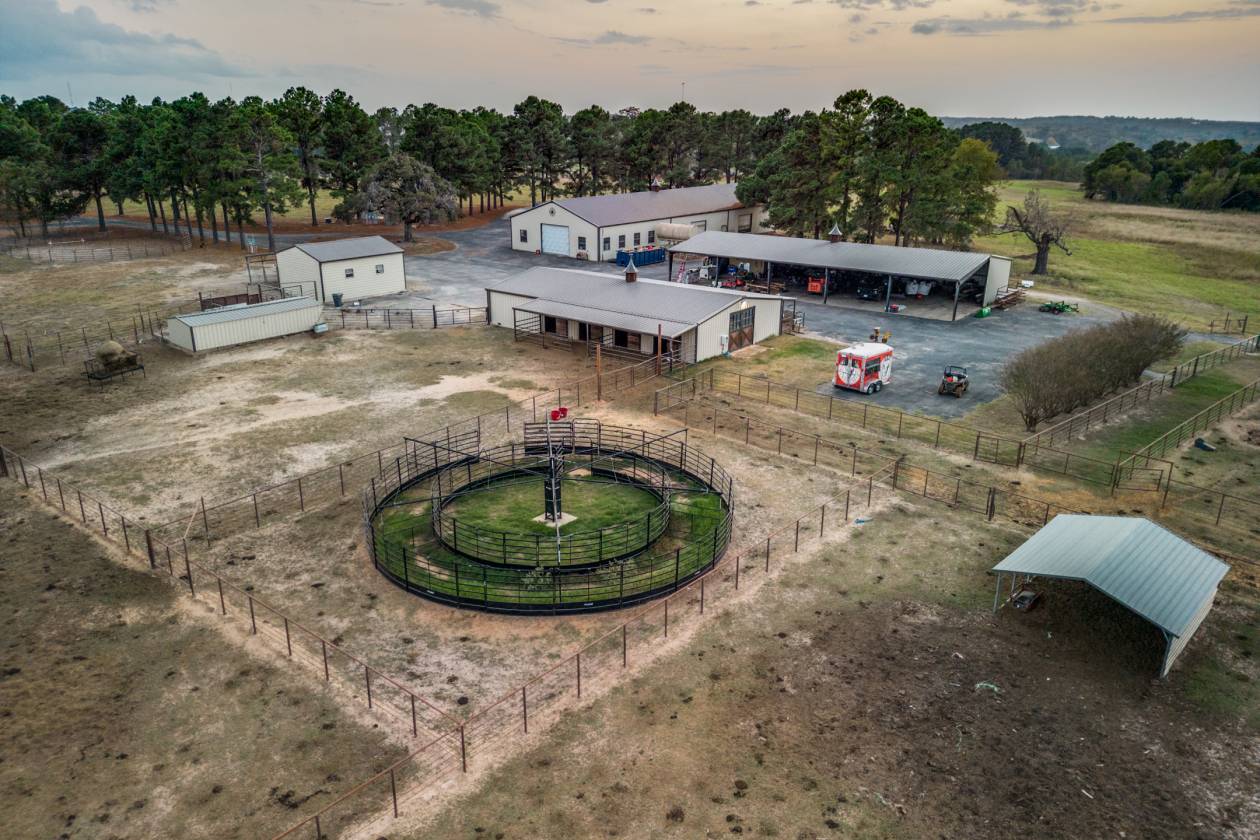 White Bison Ranch - 191 Ac - 1 Hr from Dallas - photo 8