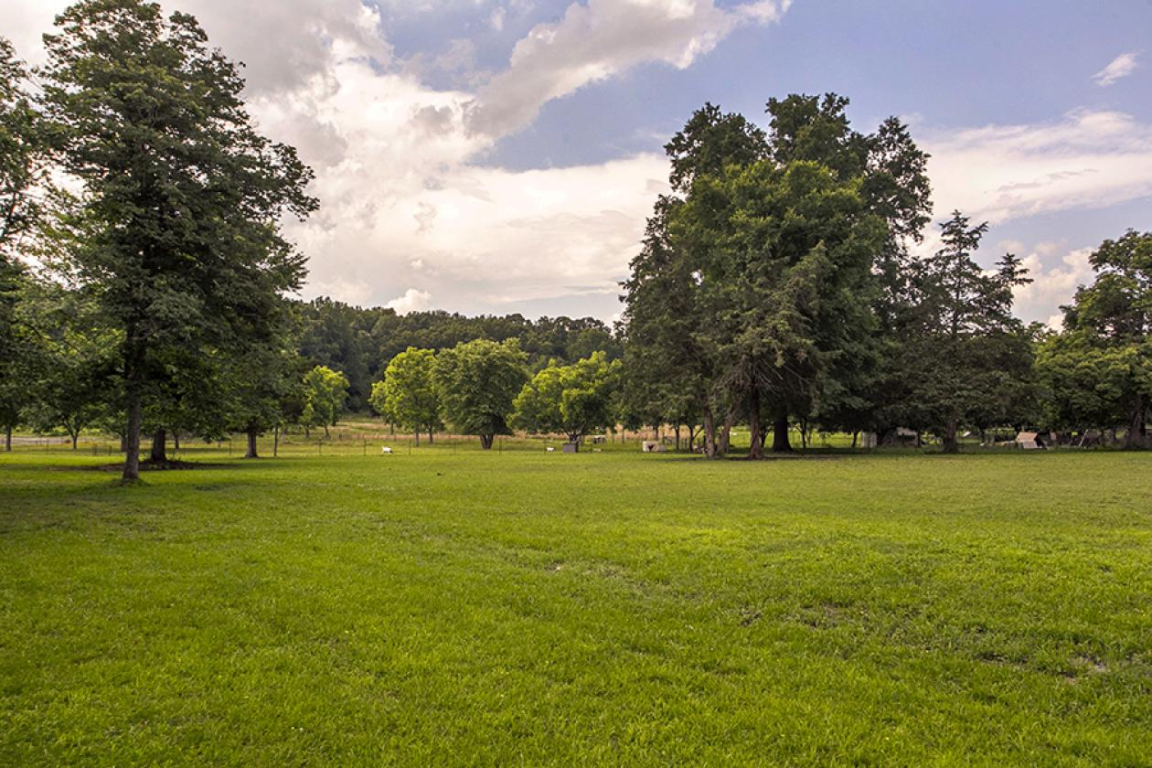 Turnkey Horse Farm on 5 acres with barn - photo 25