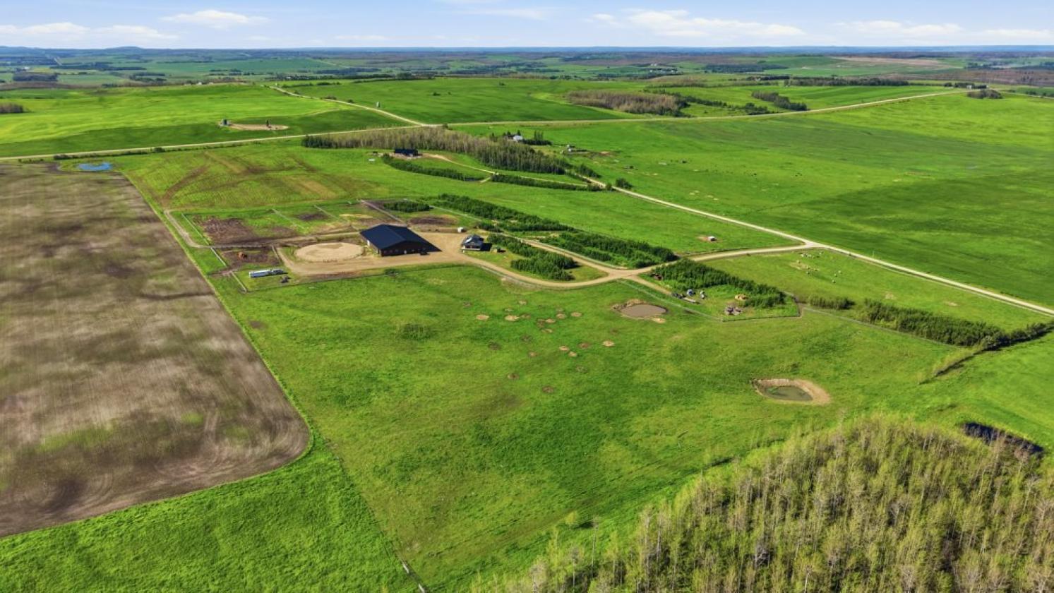 63+ Acre Equestrian Property - photo 24