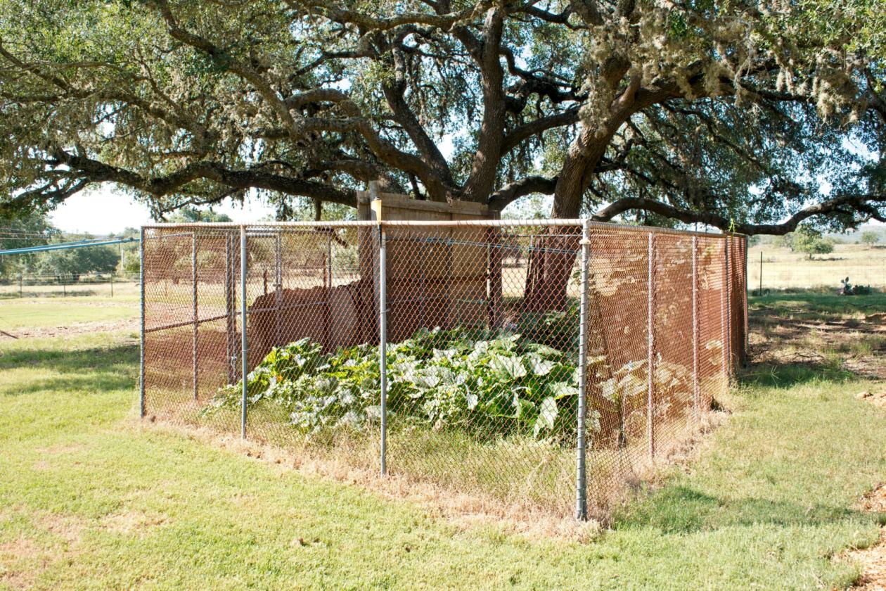 15 Acres Uballe Ranch - photo 14