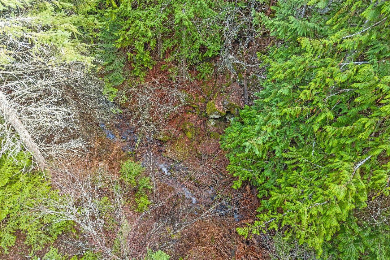Level 20.65 acres w/Creek, Pasture & Woods - photo 19