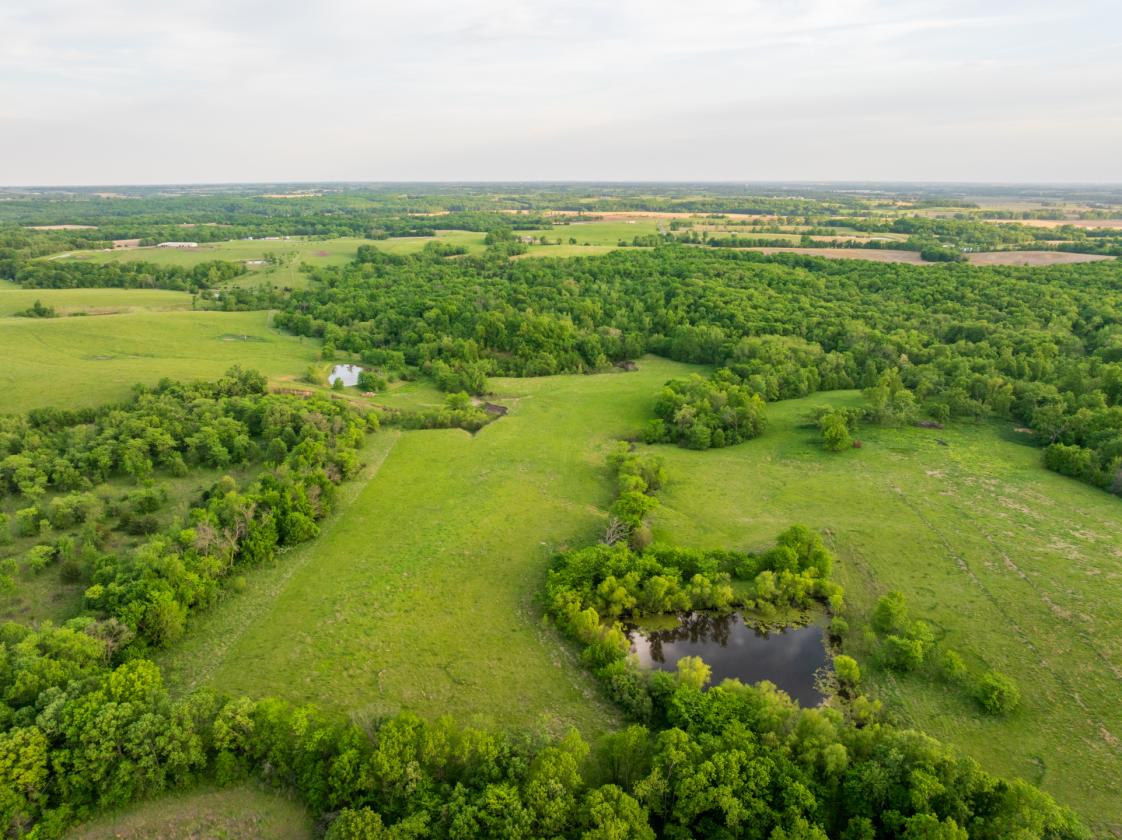273.5 +/- Acre Turn-Key Cattle and Horse Property - photo 19