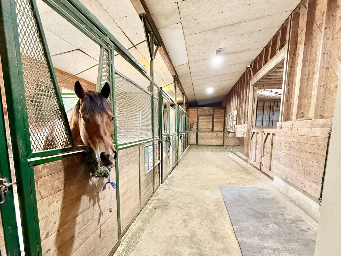 Lakefront Equestrian Estate - photo 9