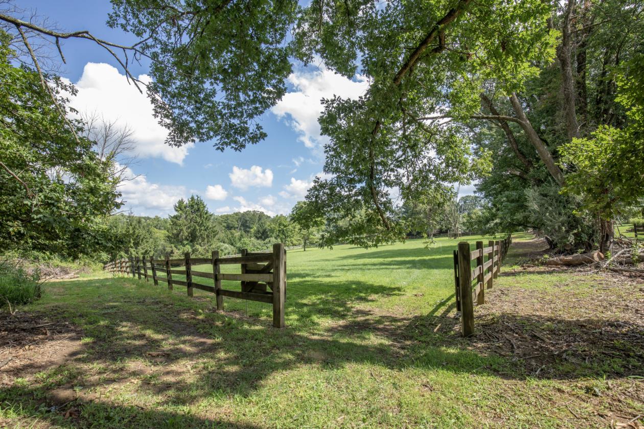 Horse Farm in the Heart of Horse Country - photo 18