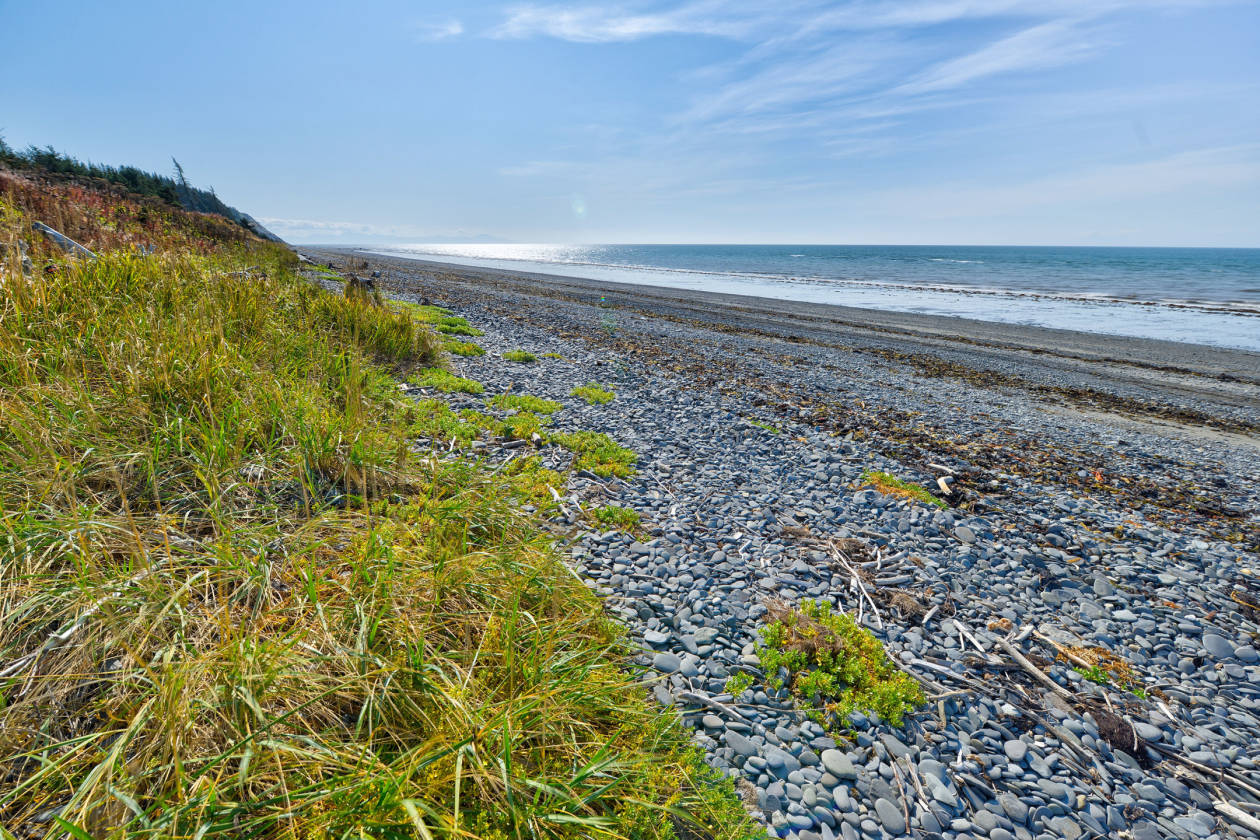 Alaskan Oceanfront Paradise Anchor Point, Kenai Peninsula Borough