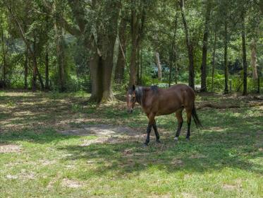 Property image.