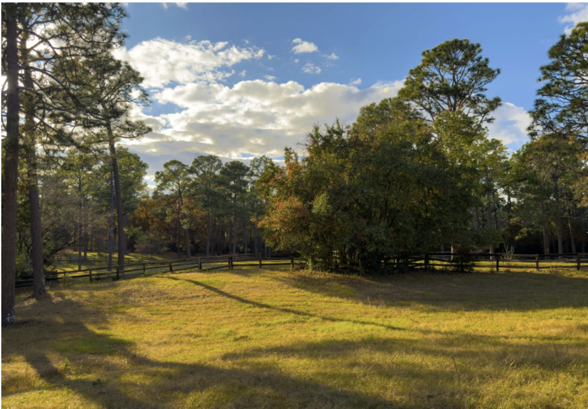 47+ Acres in the Heart of Horse Country - photo 25