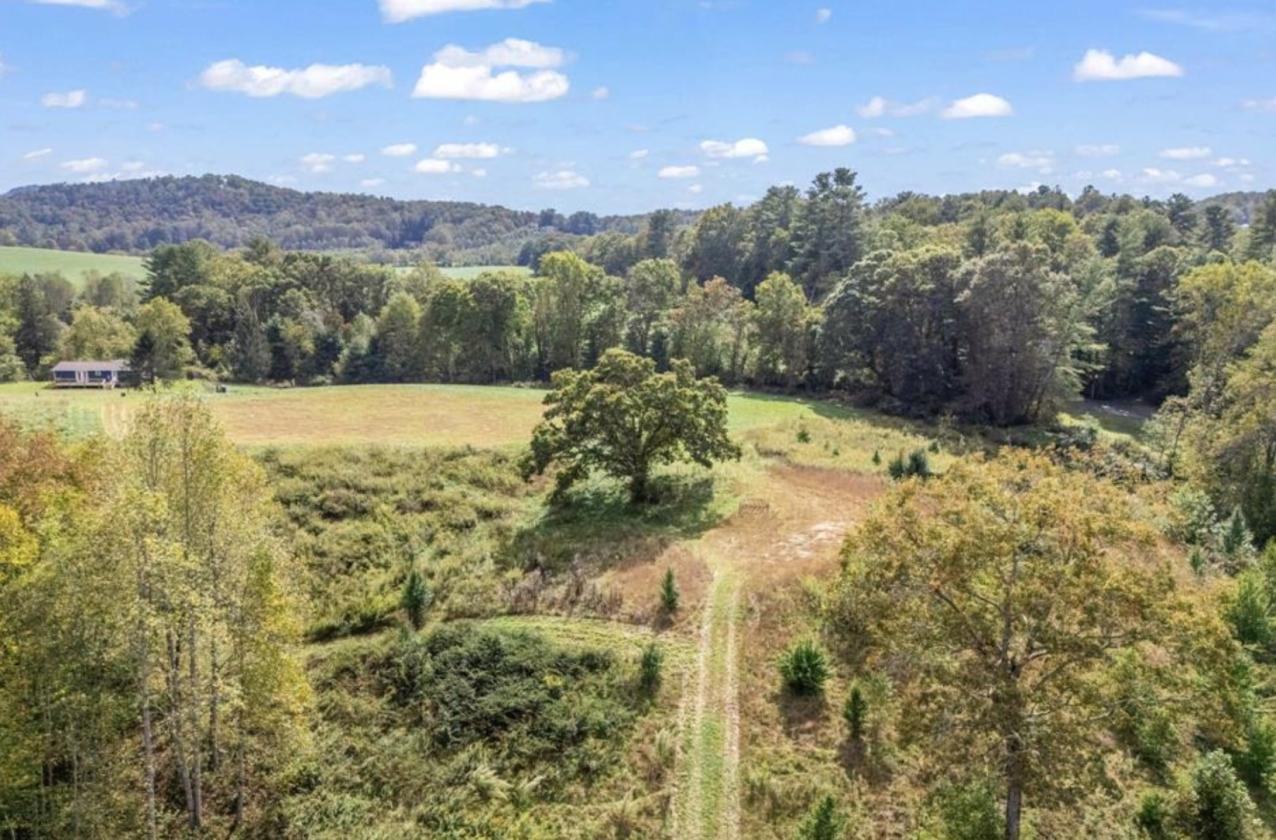 Nearly 50 Acres, Close to Asheville - photo 7