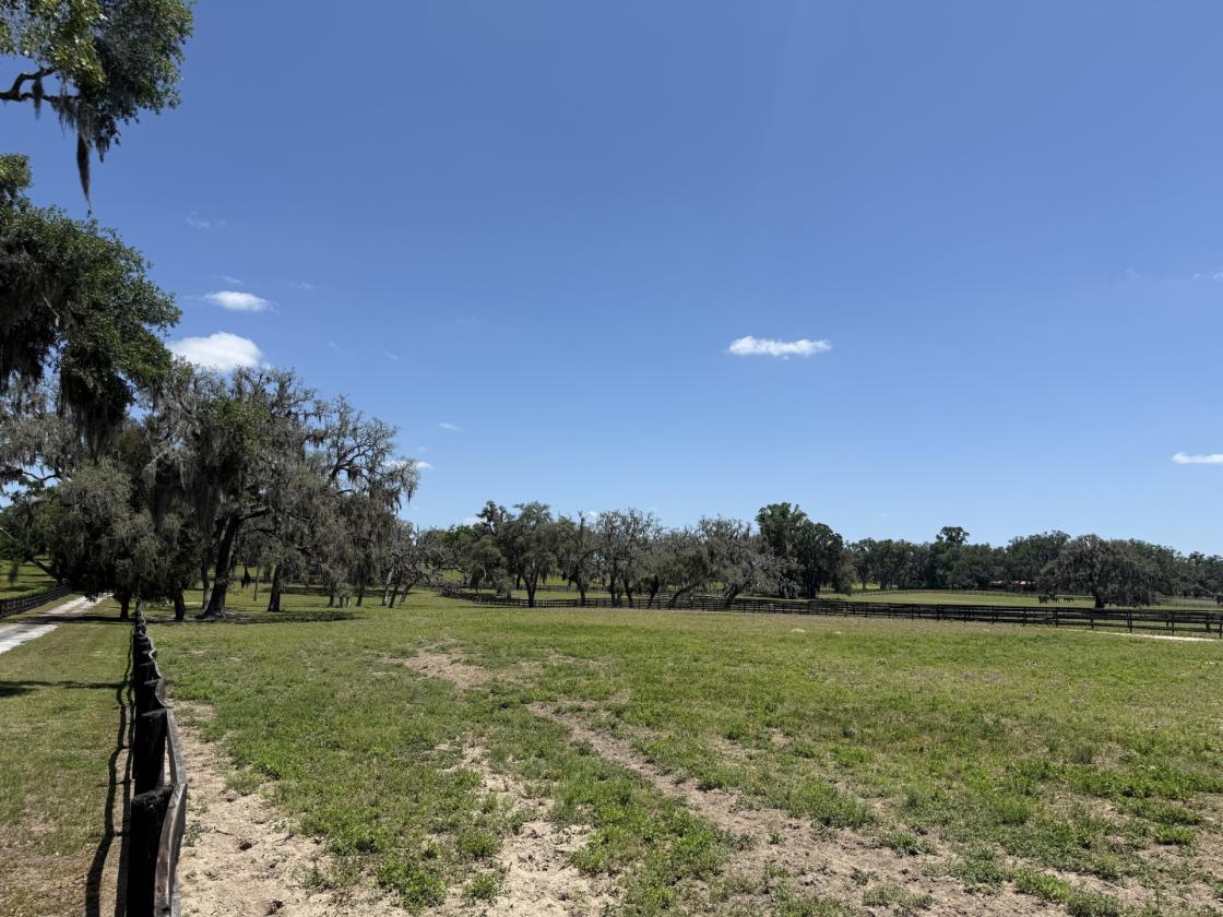 Tiffany Farm - 108 Acres - photo 22