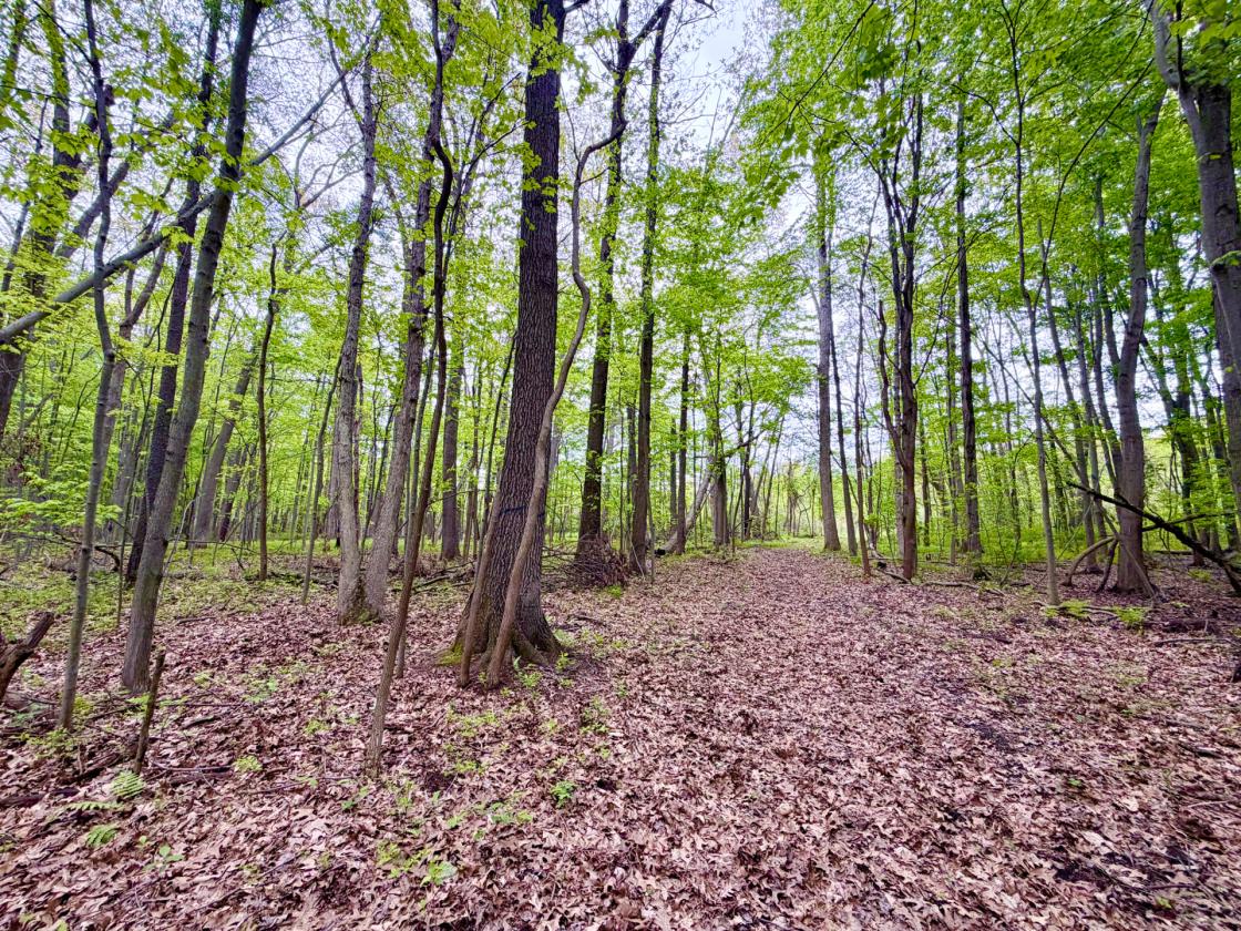 60Acres Equestrian Land with Scenic Trails - photo 24
