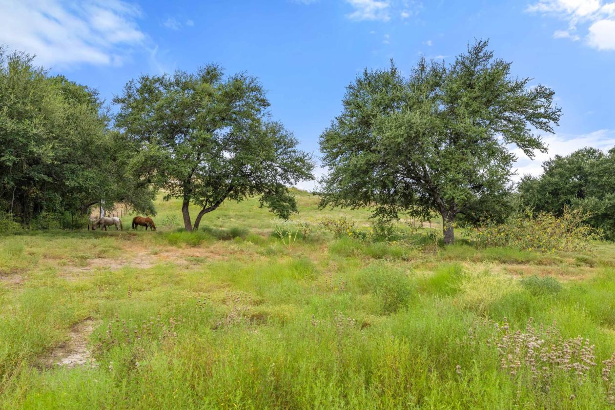 Palomino Ranch - photo 14