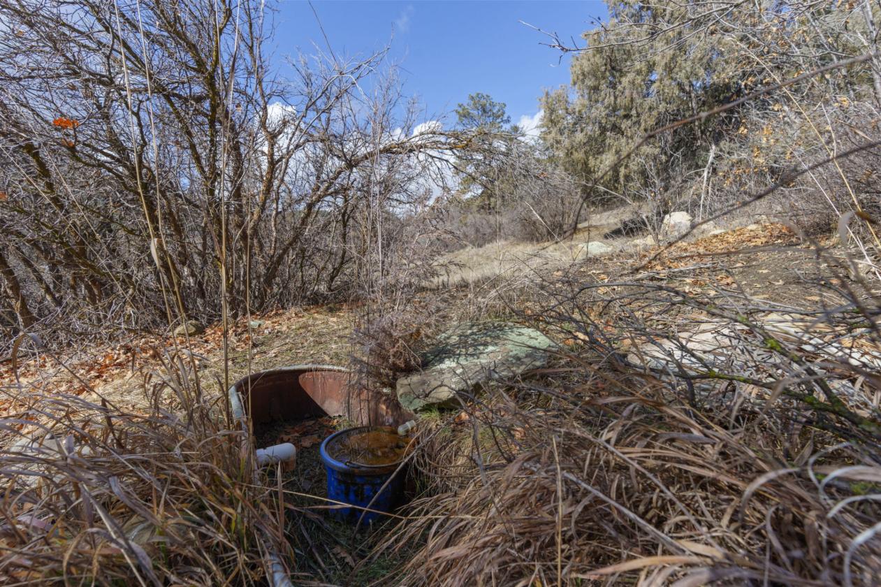Ranch With Water Rights near Durango - photo 12