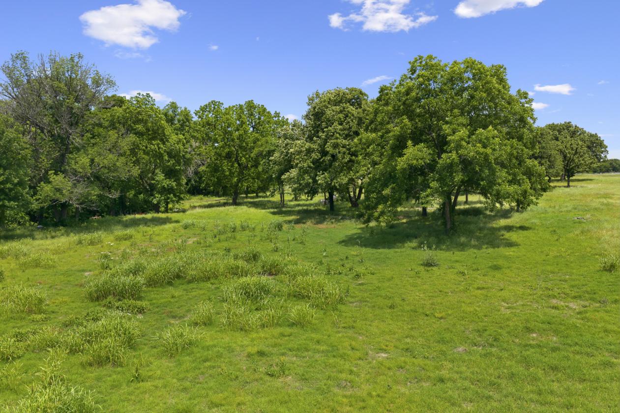 Love County Horse Property - photo 4