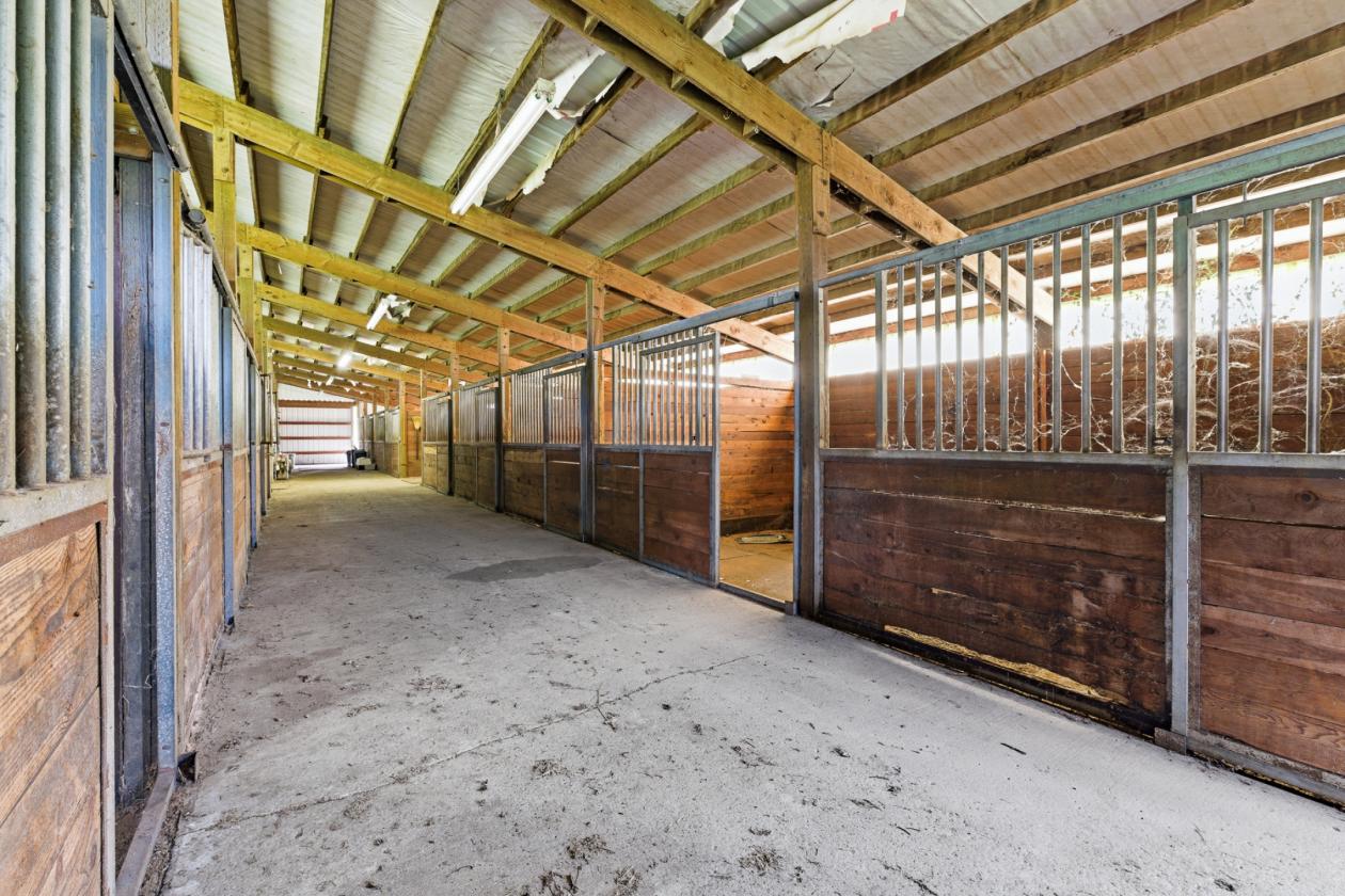 Amazing Farmhouse/Equestrian Property - photo 10