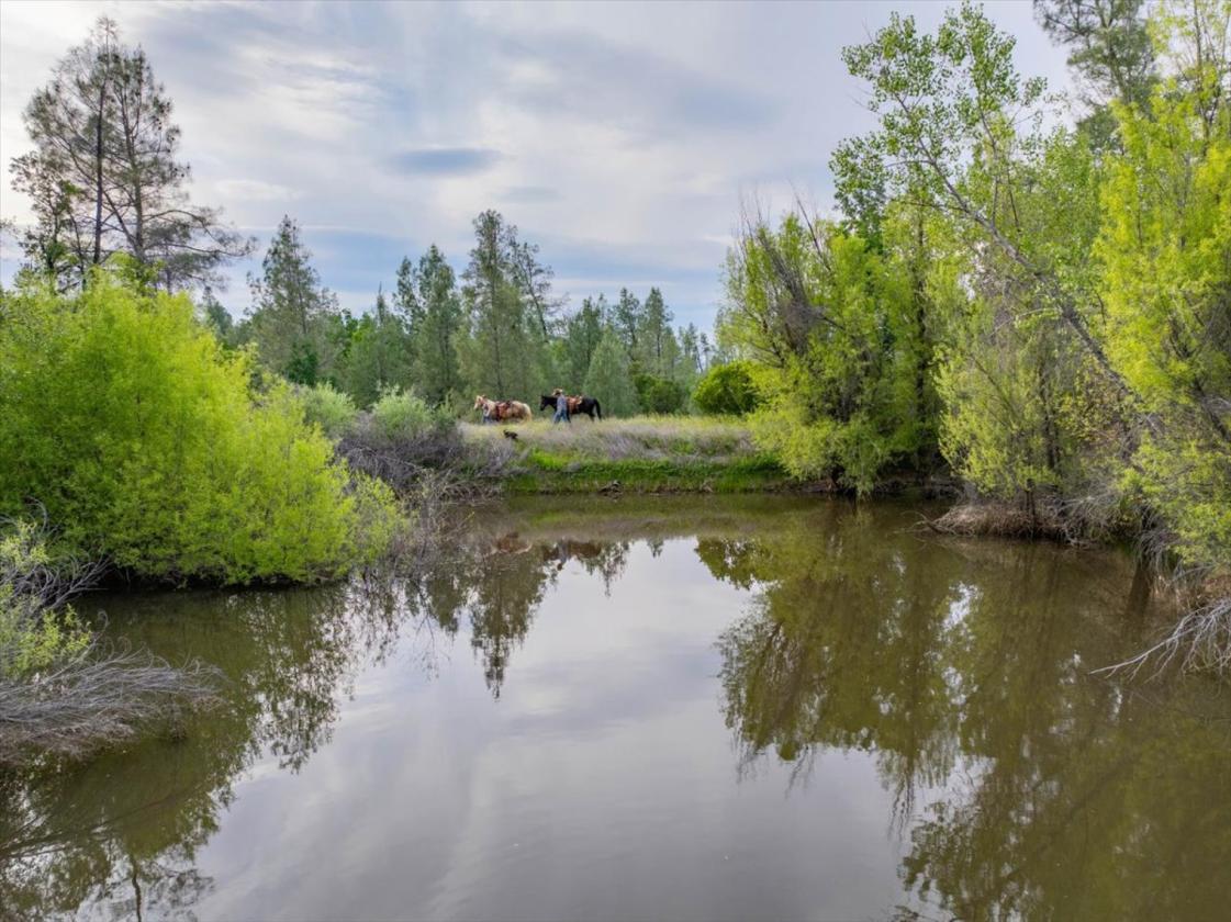 480 Acre Litte Crane Creek Ranch - photo 1