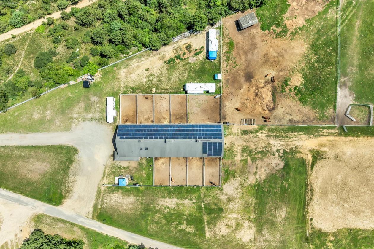 Premier Equestrian Estate - photo 7