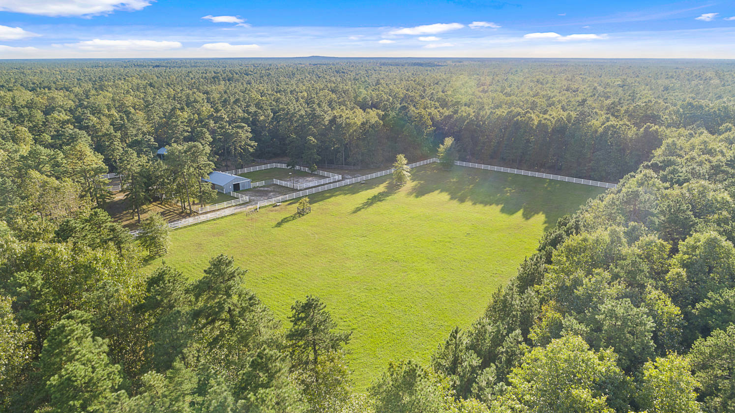 Chatsworth NJ Horsefarm Woodland, Burlington County, New Jersey