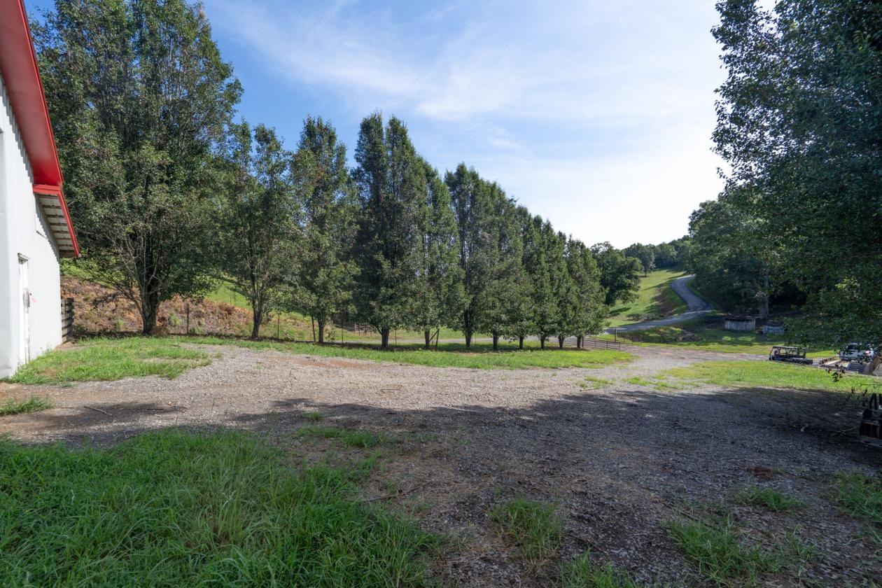 Large Equestrian Estate-Pasture, Mountains, Creeks - photo 5