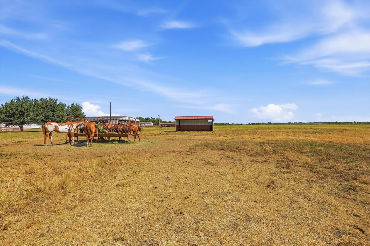 Peaceful Country Living on 15 Acres - photo 2