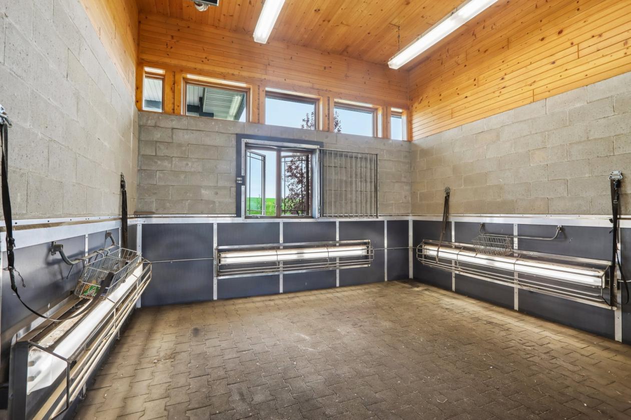 Luxury Equestrian center - photo 27