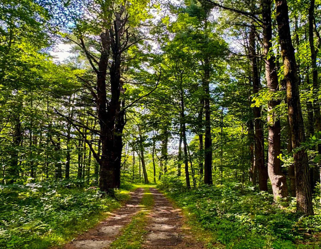 227 ACRES. 227 YEARS  EXQUISITE NEW ENGLAND FARM - photo 5