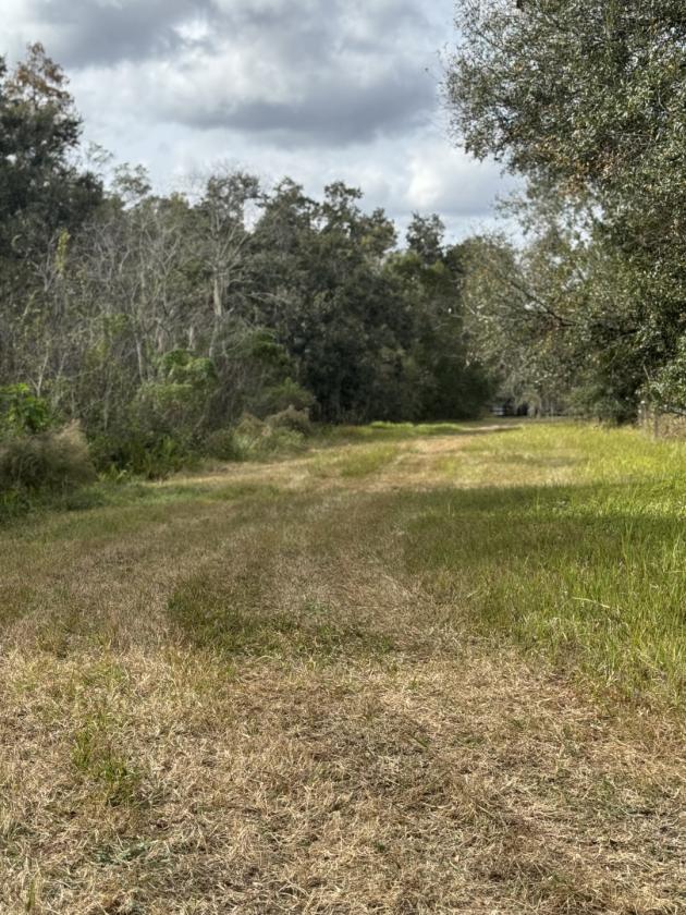 15 Acres Keystone - photo 10