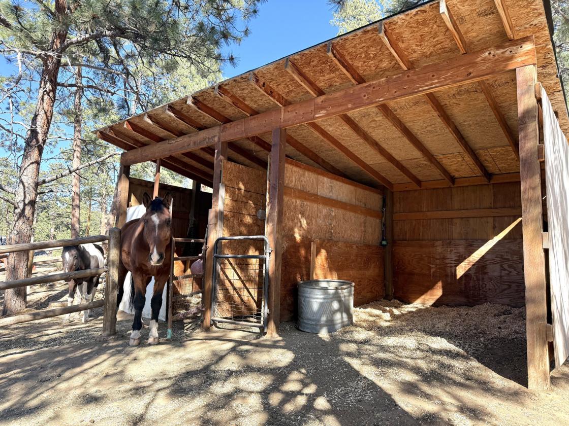 Horse Property on 2.6 Acres with Home & Outdoor Arena - photo 6